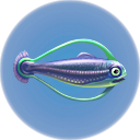 Hoopfish